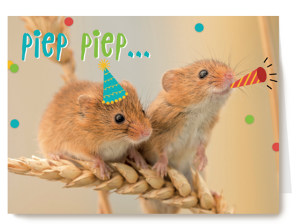 animal fiesta piep piep