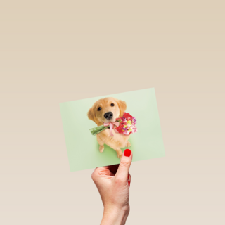 hond met bloemen