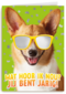 wat een coole hond voor je verjaardag