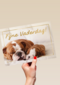 Fijne vaderdag slapende honden