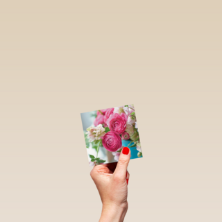 roze rozen bij elkaar