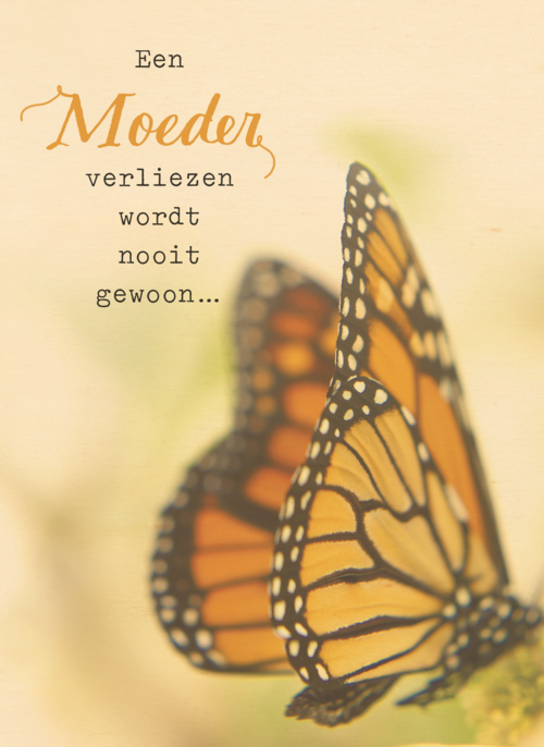 een moeder verliezen wordt nooit gewoon