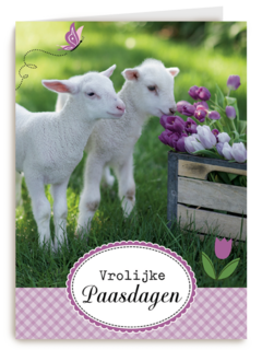 lammetje bloem pasen
