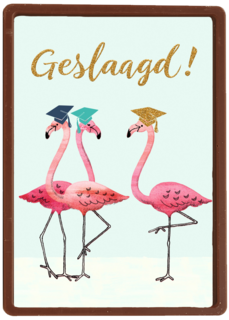 Flamingo geslaagd