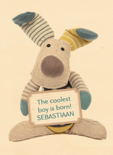 geboorte zoon coolest born baby