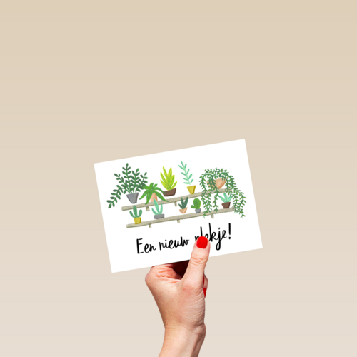 een nieuw plankje voor je planten