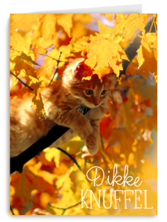 herfst kaart dikke herfst knuffel