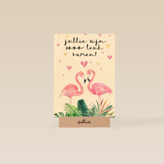 jullie zijn zooo leuk samen