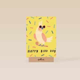 Verjaardagskaart man vrouw hip Happy Bird Day