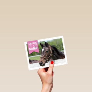 amuseer je op paardenkamp