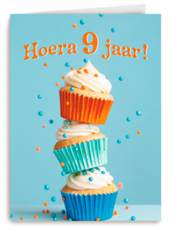 Hoera 9 Jaar cupcakes