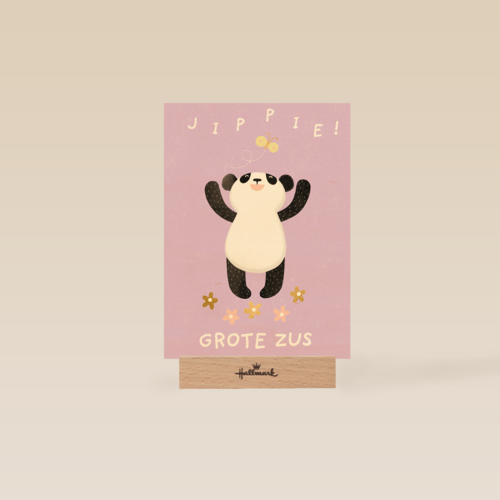 geboorte zusje jippie grote zus