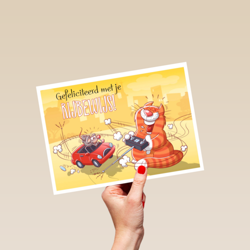 kat met bestuurbare auto