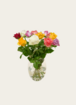 Brievenbusbloemen Rozen Taylor