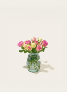 Brievenbusbloemen Rozen Pastel Crush