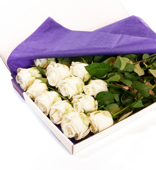 Brievenbusbloemen Rozen Wit