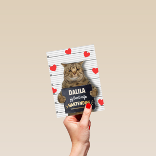 valentijn kaart kat grappig jij bent mijn hartendief