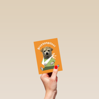 Brokken Piloot Hond