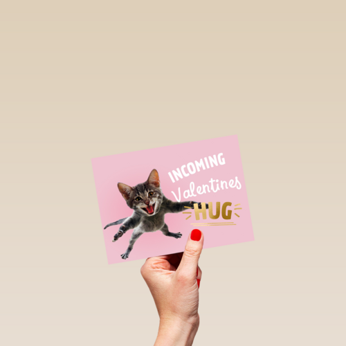 valentijnskaart grappig incoming valentines hug
