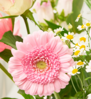 Boeket Bloemen Ritual of Sakura