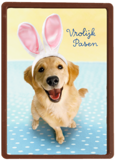 Pasen kaart hond met Paashaas oren