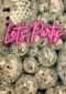 Verjaardagskaart discobollen lets party neon