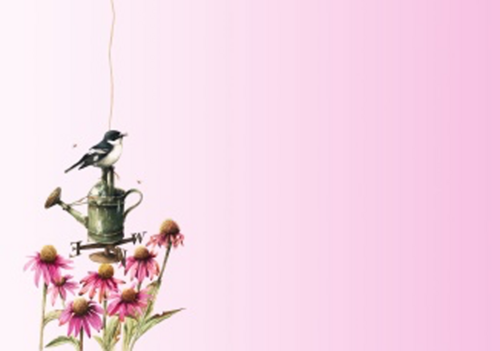 vogel in vogelhuisje tussen rozen