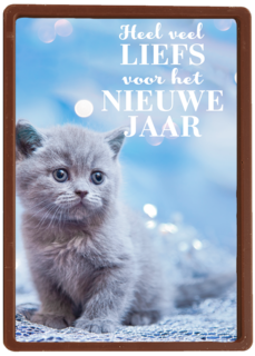 veel liefs voor het nieuwe jaar met deze kitten
