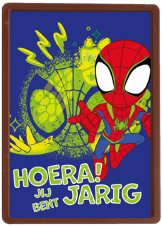 Spidey and friends Hoera