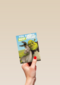 shrek you are my best friend