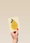 Eef Lillemor Lemon