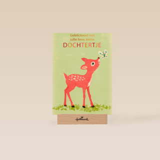 geboorte dochter hertje vlinder gefeliciteerd