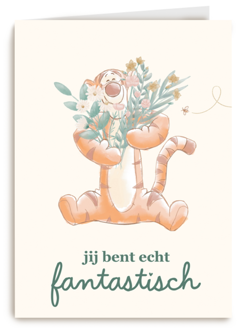 Kaart | Hallmark | Compliment | Complimentkaart Teigertje
