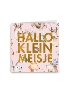 hallo lief klein meisje