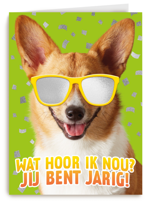wat een coole hond voor je verjaardag