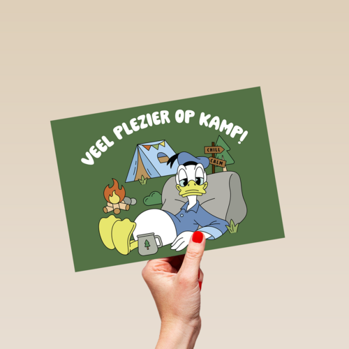 Donald Duck Veel plezier op kamp groen