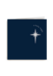 Religieuze kerstkaart holy night