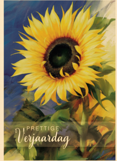 zonnige verjaardag