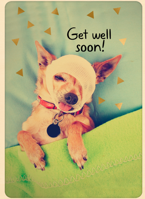 Houten Kaart Beterschapskaarten | Houten Kaart Hallmark | Beterschapskaarten | Beterschap Kaart Klassiek Get Well Soon