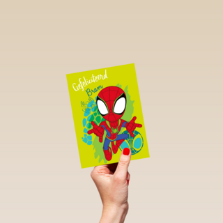 Gefeliciteerd Spidey and Friends