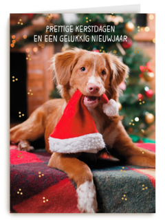 Kerstkaart klassiek Hond met kerstmuts
