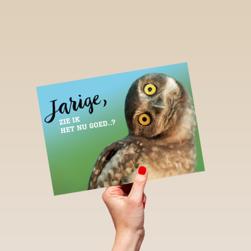animal fiesta jarige zie ik het nu goed