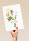 botanical kaart beterschap met een bloemetje
