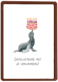 Zeeleeuw met taart verjaardagskaart
