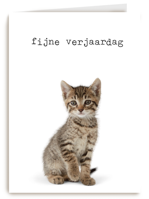 Verjaardagskaart Furry cuddles poes