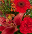 Boeket Bloemen Christmas Sparkle