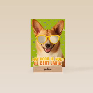 wat een coole hond voor je verjaardag