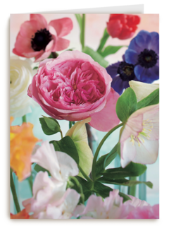 bloem bloemen