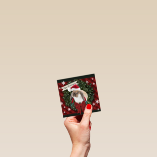 Kerstkaart konijn kerstmuts