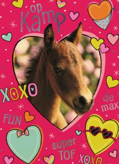 Op kamp paard